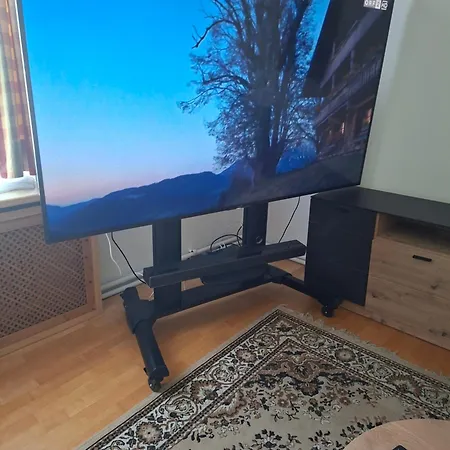 Blumentrittappartment *